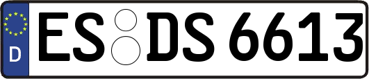 ES-DS6613
