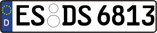 ES-DS6813