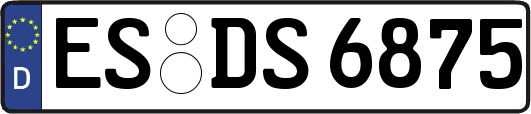 ES-DS6875