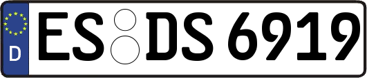 ES-DS6919