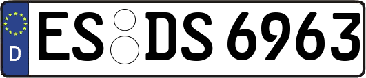 ES-DS6963