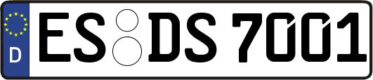 ES-DS7001