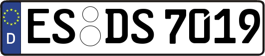ES-DS7019