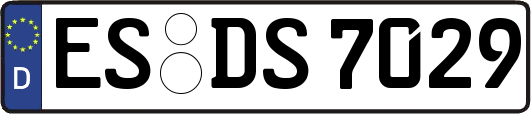 ES-DS7029