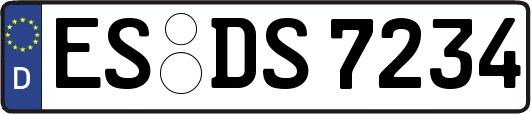 ES-DS7234
