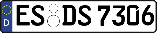 ES-DS7306