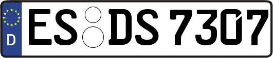 ES-DS7307