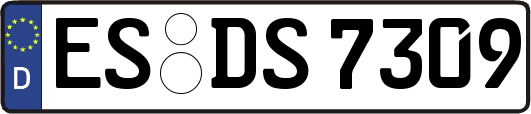 ES-DS7309