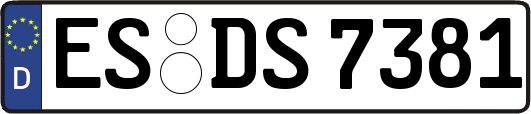 ES-DS7381