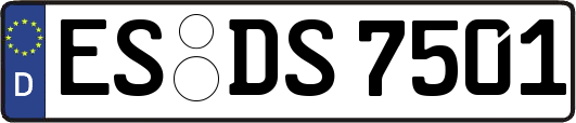 ES-DS7501