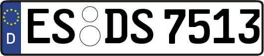 ES-DS7513