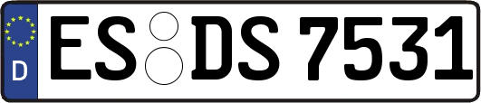 ES-DS7531