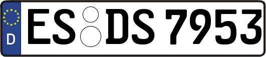 ES-DS7953