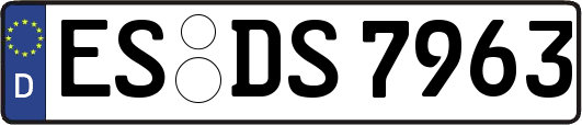 ES-DS7963