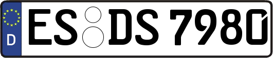 ES-DS7980