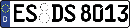 ES-DS8013