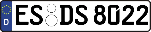ES-DS8022