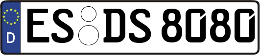 ES-DS8080