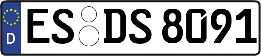 ES-DS8091