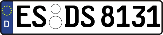 ES-DS8131