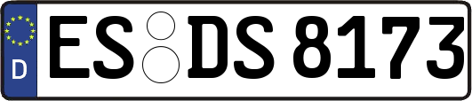 ES-DS8173