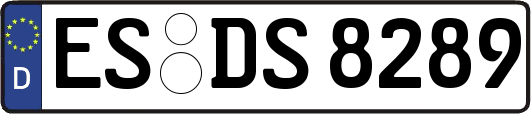 ES-DS8289