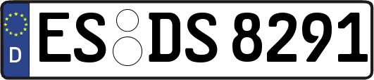 ES-DS8291