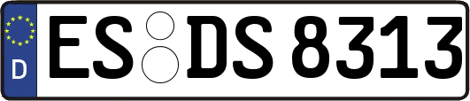 ES-DS8313