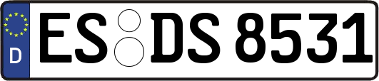 ES-DS8531