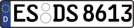 ES-DS8613