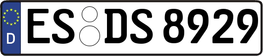 ES-DS8929