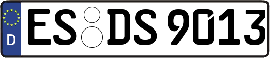 ES-DS9013