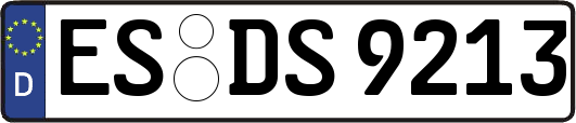 ES-DS9213
