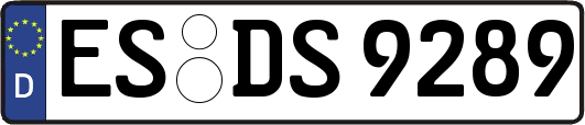 ES-DS9289