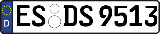 ES-DS9513