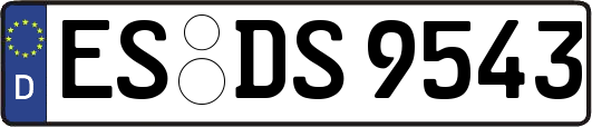 ES-DS9543