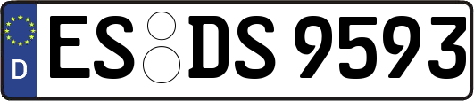 ES-DS9593