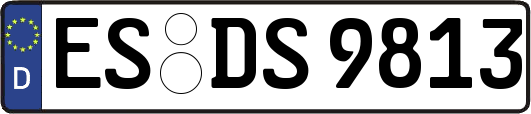 ES-DS9813