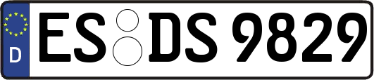 ES-DS9829