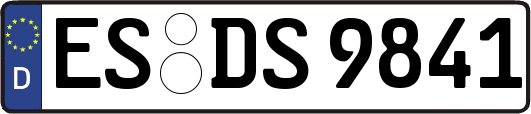 ES-DS9841