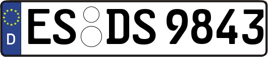 ES-DS9843