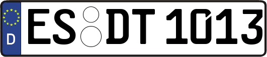 ES-DT1013
