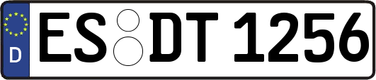 ES-DT1256