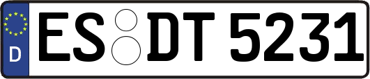 ES-DT5231