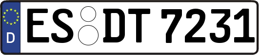ES-DT7231