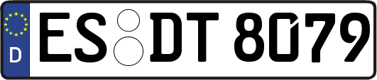 ES-DT8079