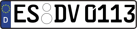 ES-DV0113