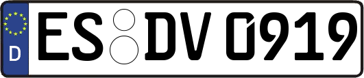 ES-DV0919