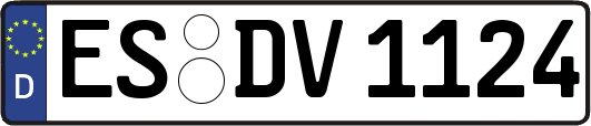 ES-DV1124