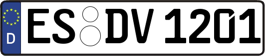 ES-DV1201